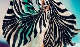 Modna hiša Roberto Cavalli, svet visoke mode!