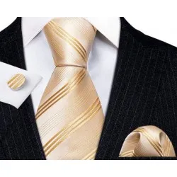  Moška kravata 3-delni set šampanjec črte KR103
